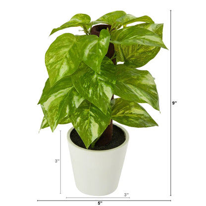 - image on Tampa Home & Garden Store