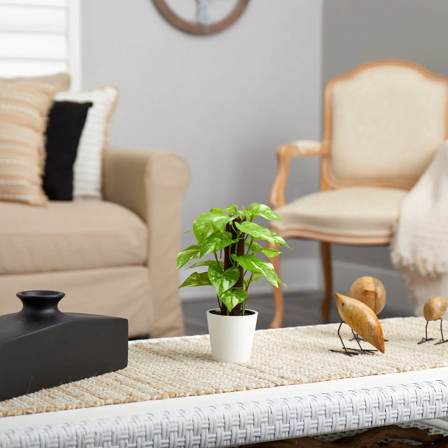 - image on Tampa Home & Garden Store