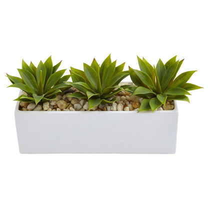 Suculenta Agave en Jardinera Rectangular