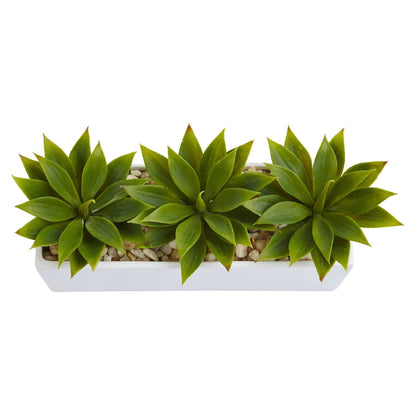 Suculenta Agave en Jardinera Rectangular