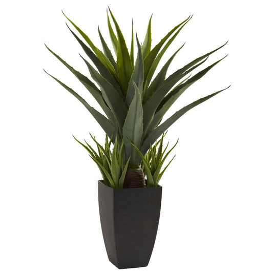 Agave w/Black Planter - Tampa Home & Garden Store
