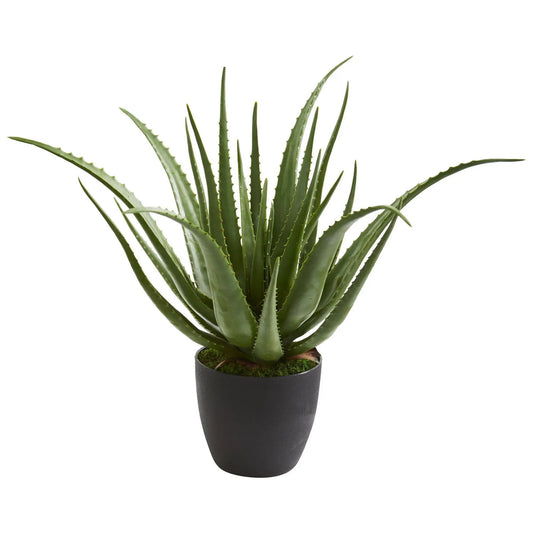 Aloe Artificial Plant 26in tall dusty green leaves in black pot Nearly Natural on Tampa Home & Garden Store
