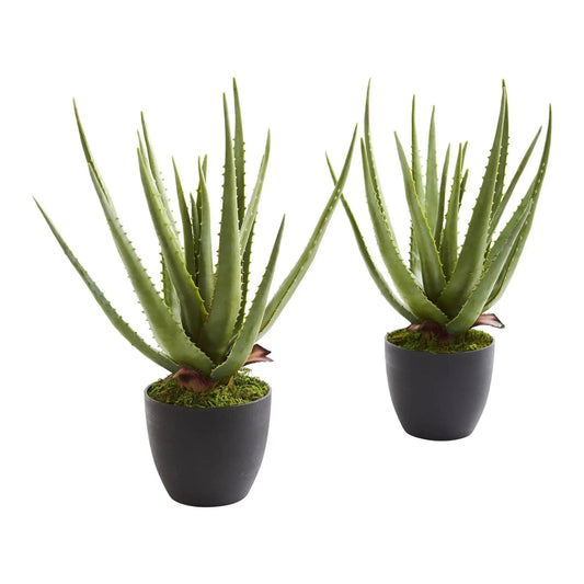 Aloe artificial plants set of 2 with green leaves in black pots with moss, Nearly Natural on Tampa Home & Garden Store