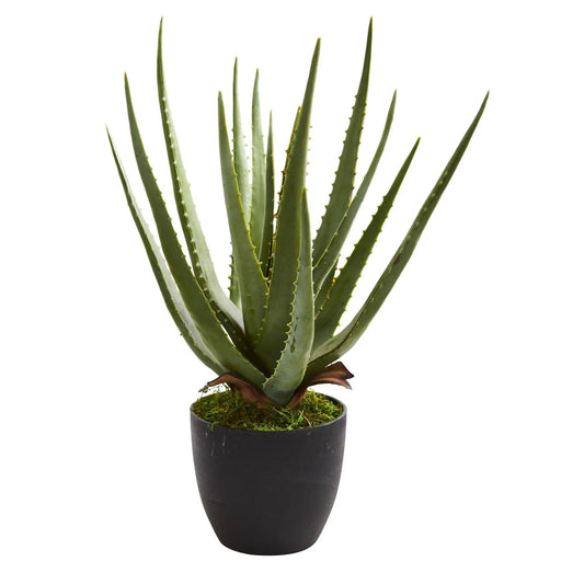 Aloe artificial plant in a black pot with moss by Nearly Natural on Tampa Home & Garden Store