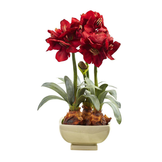 Amarylis Arrangement w/Vase - Tampa Home & Garden Store