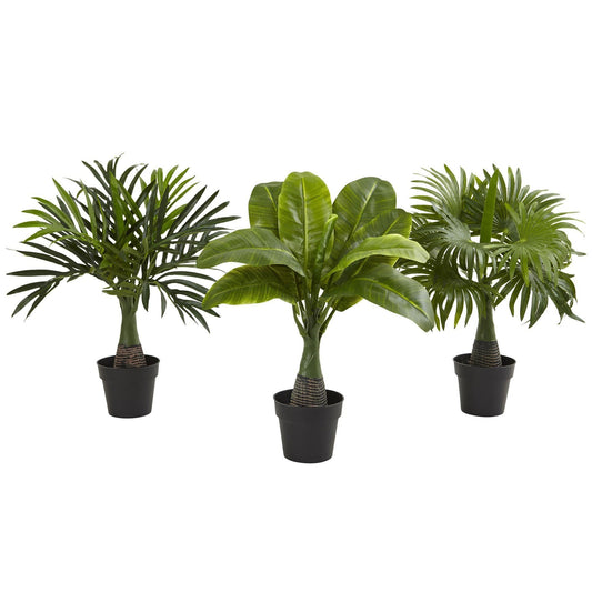 Areca, Fountain & Banana Palm (Set of 3) - Tampa Home & Garden Store