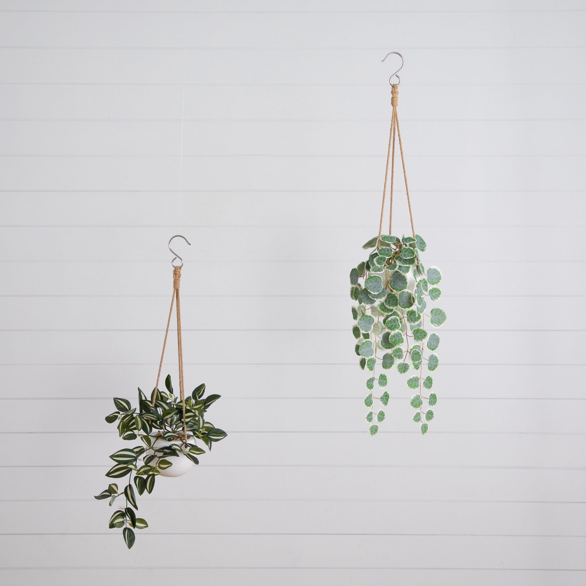 Nearly Natural Wandering Jew & String of Hearts hanging set of 2 with green leaves on rope on Tampa Home & Garden Store
