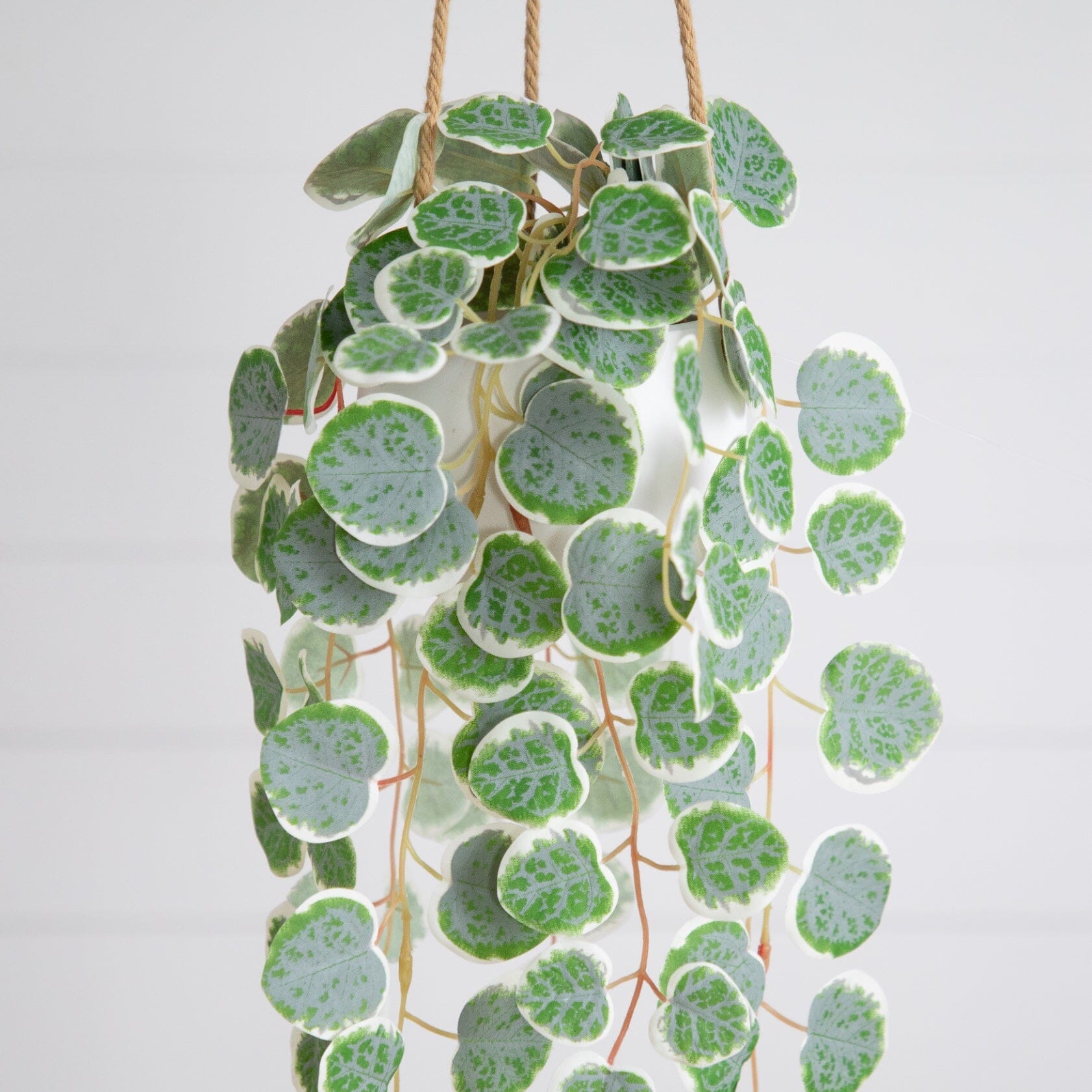 Artificial Wandering Jew & String of Hearts hanging plants set of 2 with green leaves on Tampa Home & Garden Store