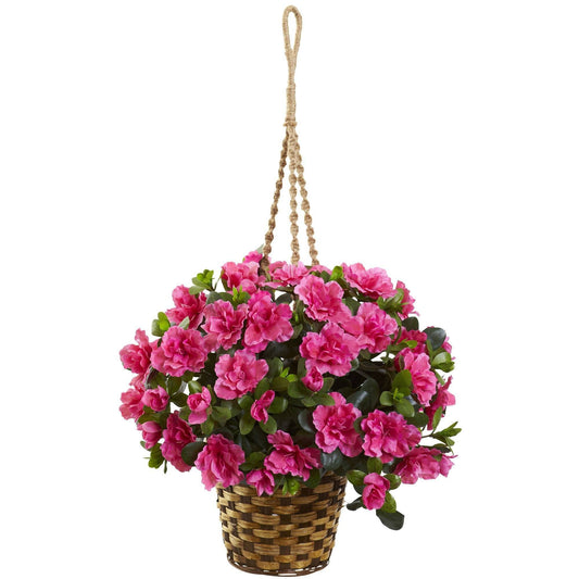 Azalea Hanging Basket - Tampa Home & Garden Store