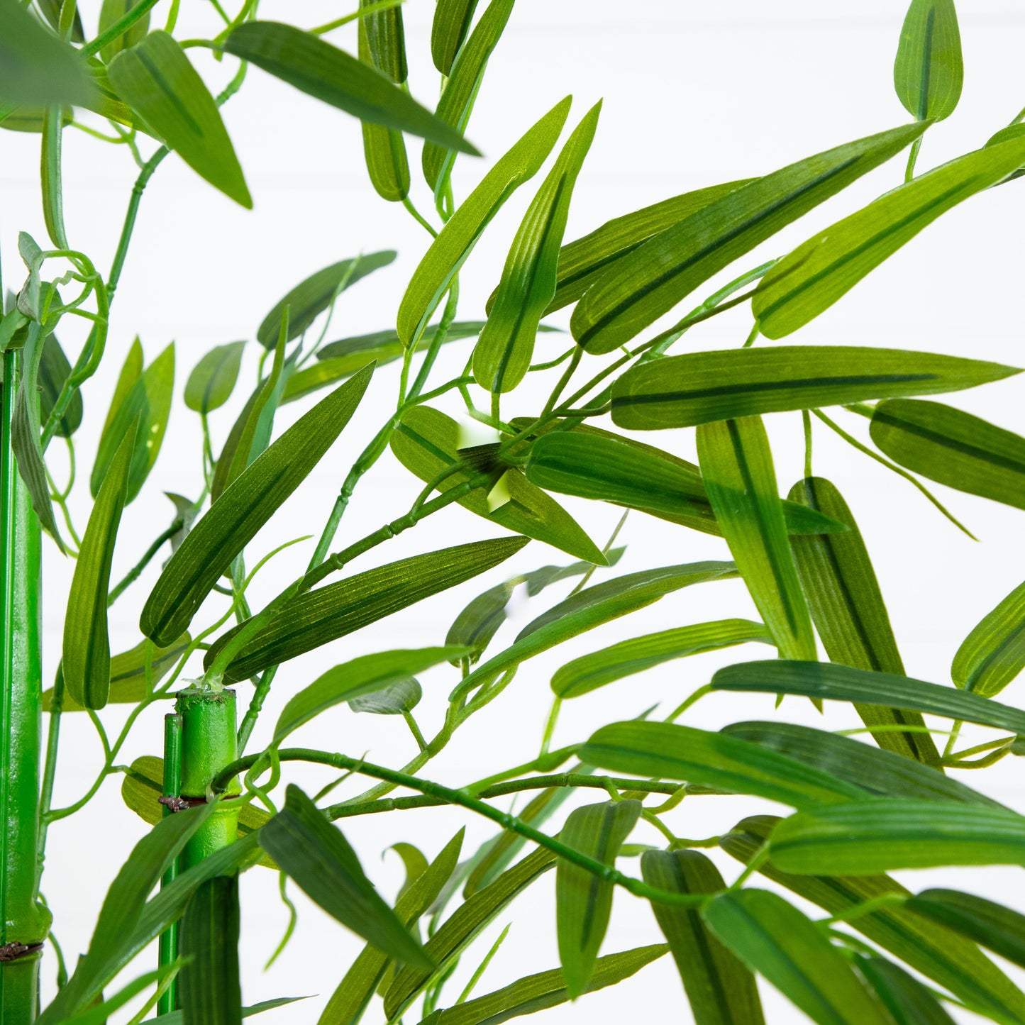Bamboo Tree in White Planter UV Resistant