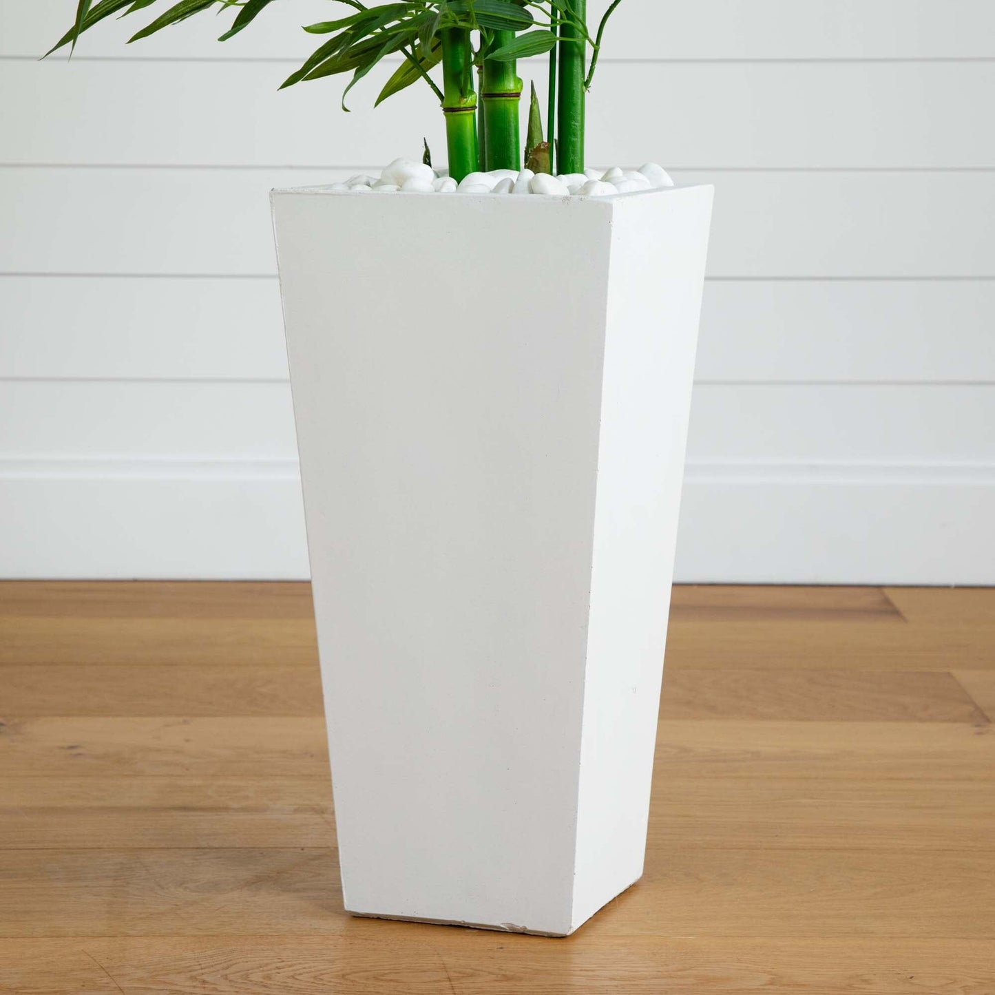 Bamboo Tree in White Planter UV Resistant