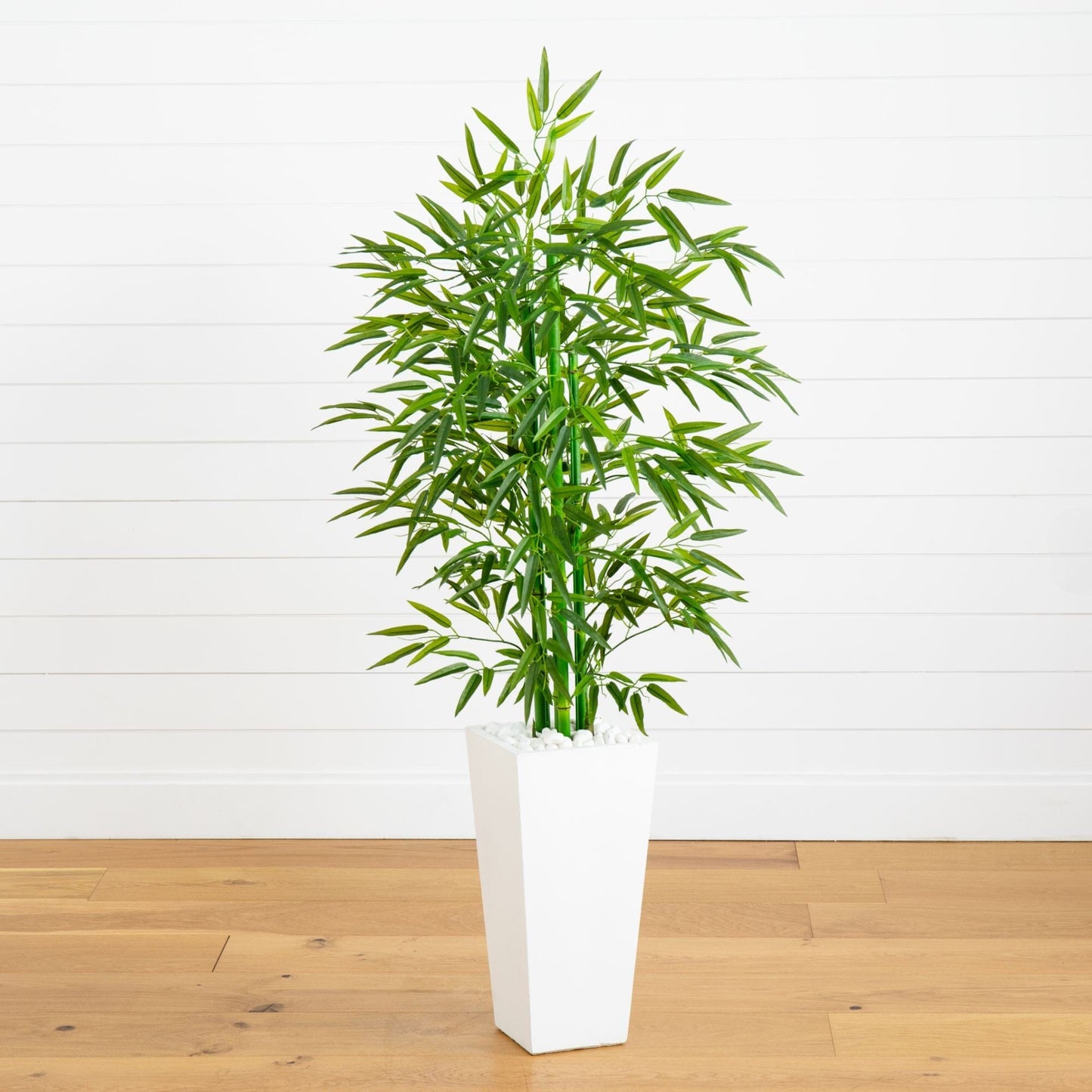 Bamboo Tree in White Planter UV Resistant
