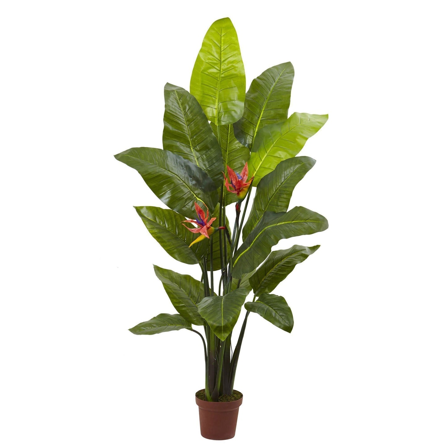 58-inch Bird of Paradise Plant Real Touch artificial plant by Nearly Natural in brown pot on Tampa Home & Garden Store