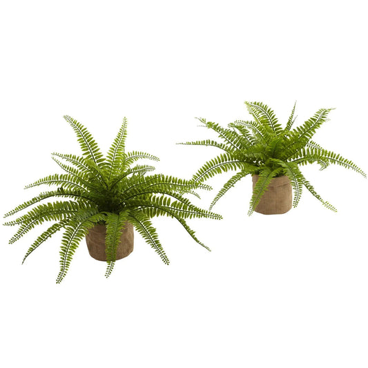 Boston Fern w/Burlap Planter (Set of 2) - Tampa Home & Garden Store