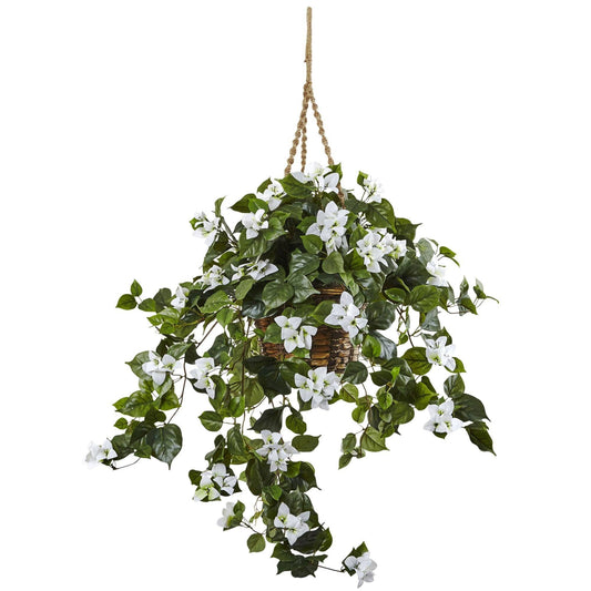 Bougainvillea Hanging Basket - Tampa Home & Garden Store
