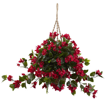 Bougainvillea Hanging Basket UV Resistant