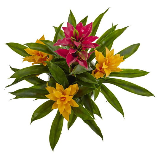 Bromeliad in White Swirl Vase - Tampa Home & Garden Store