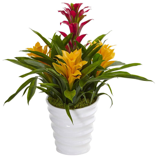 Bromeliad in White Swirl Vase - Tampa Home & Garden Store
