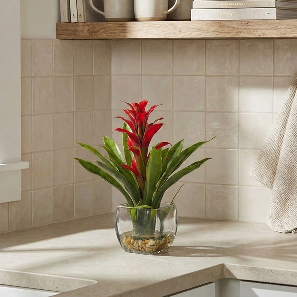 Bromélia avec arrangement dans un vase