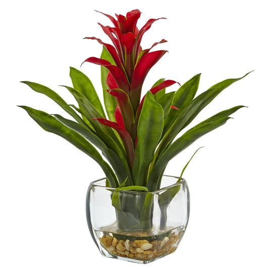 Bromeliad with Vase Arrangement - Tampa Home & Garden Store