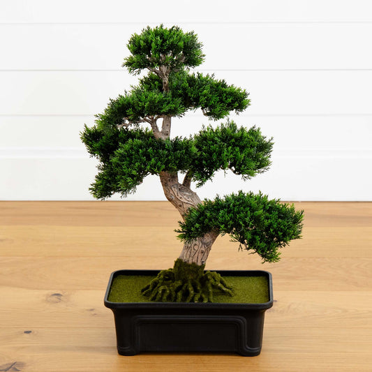 Cedar Bonsai 24" Silk Plant" - Tampa Home & Garden Store