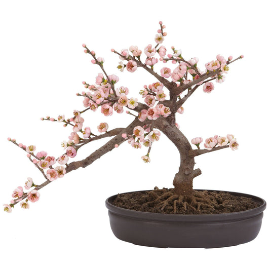 Cherry Blossom Bonsai Silk Tree - Tampa Home & Garden Store