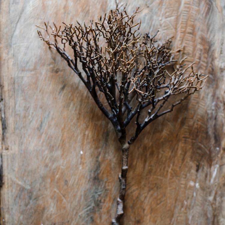 Artificial coral-shaped twig stem 14 in tall in dark brown RusticReach on Tampa Home & Garden Store
