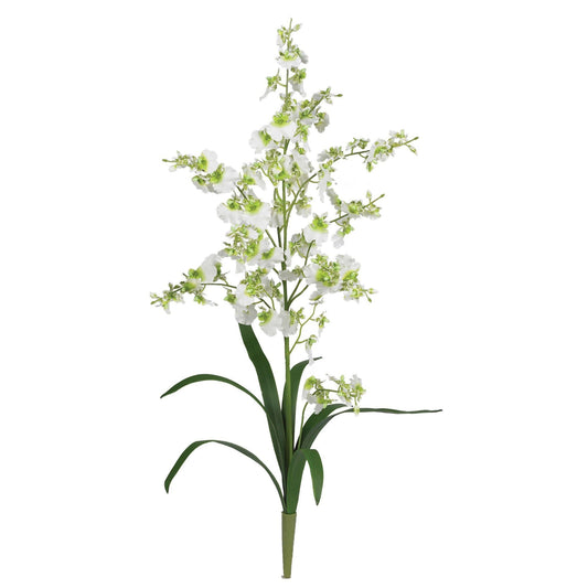 Dancing Lady (Set of 12) - Tampa Home & Garden Store