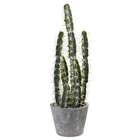 Decorative Cactus Garden w/Cement Planter - Tampa Home & Garden Store