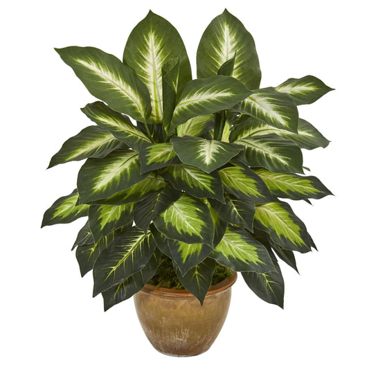 Dieffenbachia Artificial Plant in Ceramic Planter - Tampa Home & Garden Store