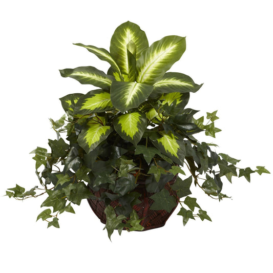 Dieffenbachia & Ivy w/Decorative Planter - Tampa Home & Garden Store