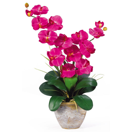 Double Stem Phalaenopsis Silk Orchid Arrangement - Tampa Home & Garden Store