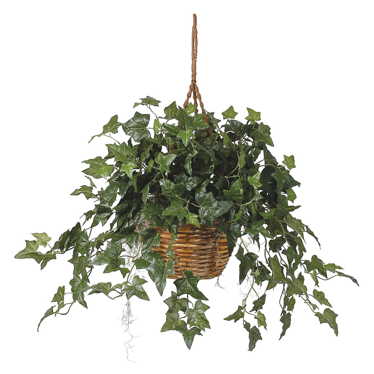 English Ivy Hanging Basket Silk Plant by Nearly Natural, variegated ivy spilling from a basket on Tampa Home & Garden Store