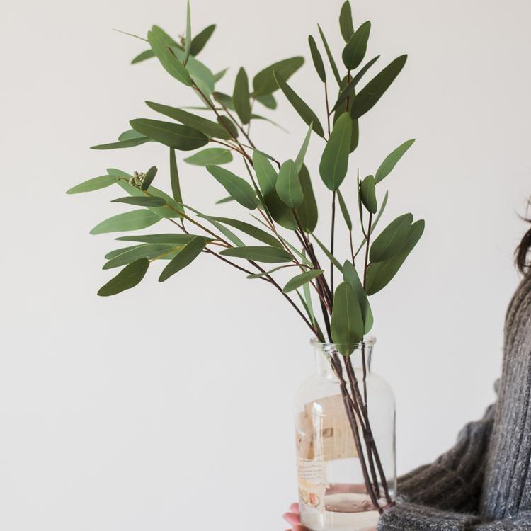 Artificial Faux Eucalyptus leaves stems in green, RusticReach artificial flora in glass bottle on Tampa Home & Garden Store