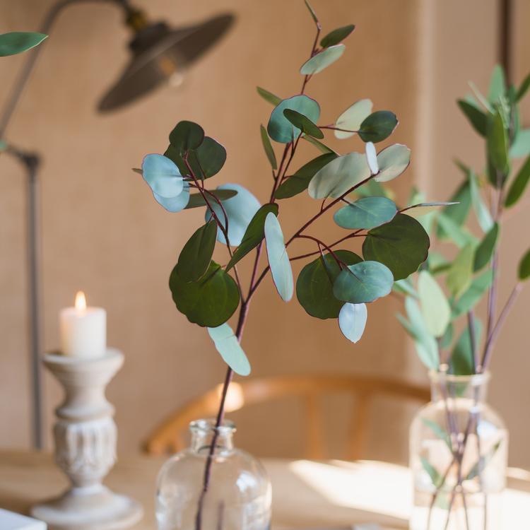 Artificial Faux Eucalyptus Leaves on two stems by RusticReach in clear glass bottles on Tampa Home & Garden Store