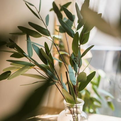 Premium Artificial Eucalyptus Leaf and Stems