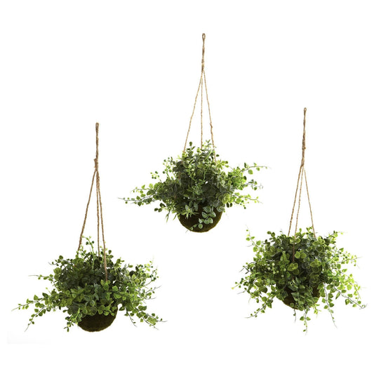 Eucalyptus, Maiden Hair & Berry Hanging Basket (Set of 3) - Tampa Home & Garden Store