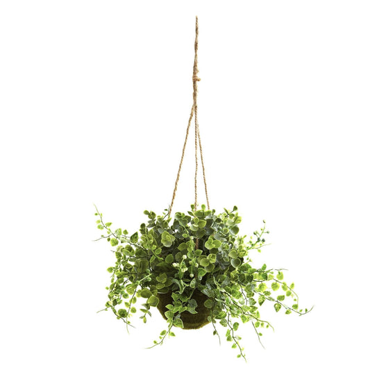 Eucalyptus, Maiden Hair & Berry Hanging Basket (Set of 3) - Tampa Home & Garden Store