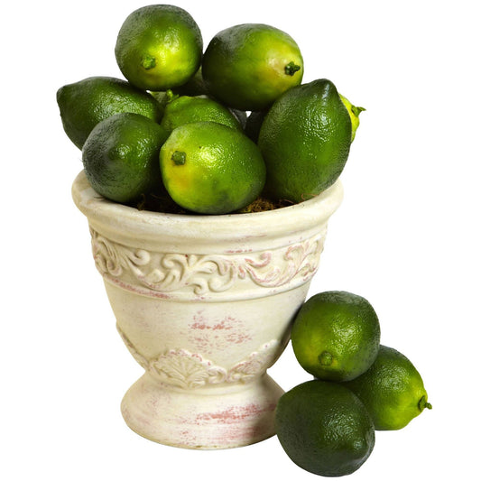 Faux Limes (Set of 12) - Tampa Home & Garden Store