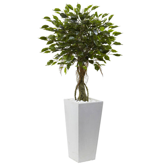 Ficus Tree with White Planter UV Resistant (Indoor/Outdoor) - Tampa Home & Garden Store