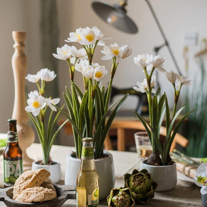 Artificial Silk Real Touch Daffodil Bonsai by RusticReach, white blooms in gray pots, set of 5 on Tampa Home & Garden Store