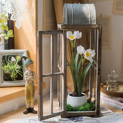 Daffodil flower bonsai by RusticReach in a lantern, white petals yellow centers moss base on Tampa Home & Garden Store