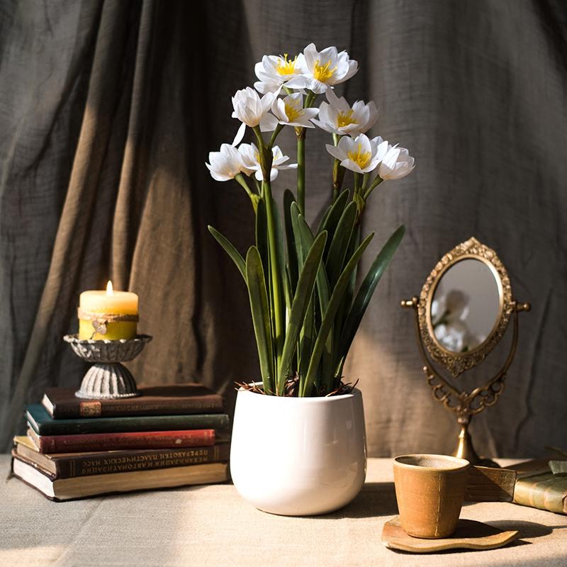 RusticReach artificial silk daffodil bonsai in white ceramic pot with green leaves on Tampa Home & Garden Store