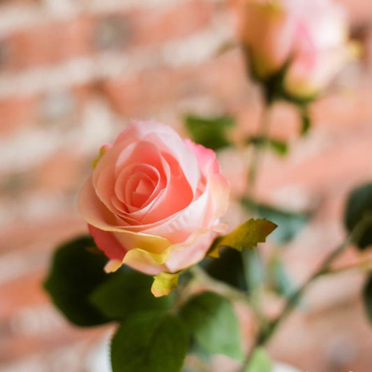 RusticReach faux silk rose stem with light pink bloom and green leaves, 31in tall on Tampa Home & Garden Store