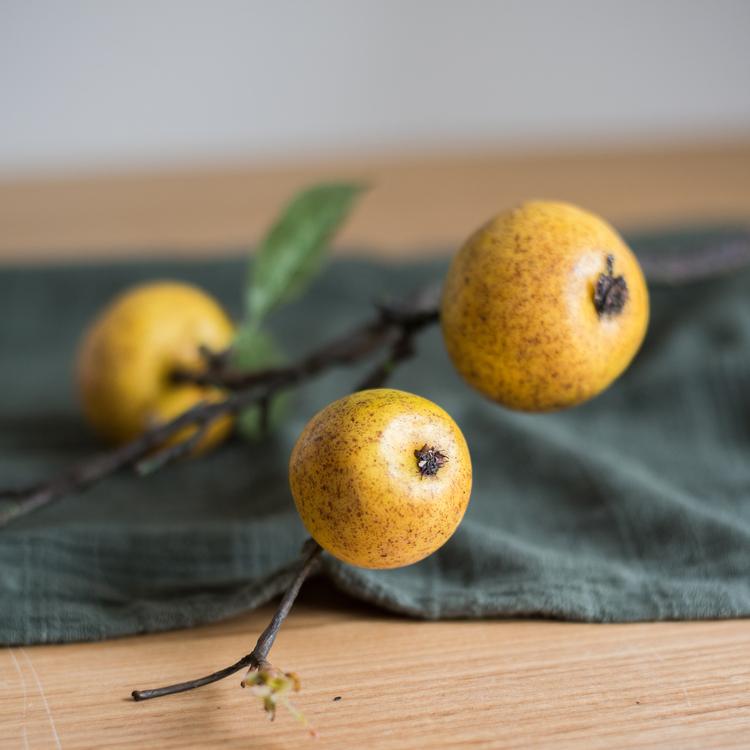 Artificial yellow fruit stem with two round speckled fruits on a brown branch resting on a green cloth on Tampa Home & Garden Store