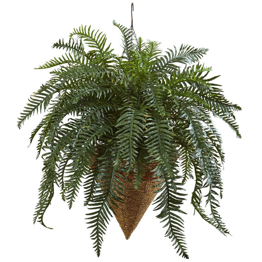 Giant River Fern with Cone Hanging Basket - Tampa Home & Garden Store