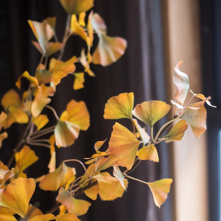 Artificial ginkgo stem with yellow fan-shaped leaves, 37 in tall faux foliage on Tampa Home & Garden Store
