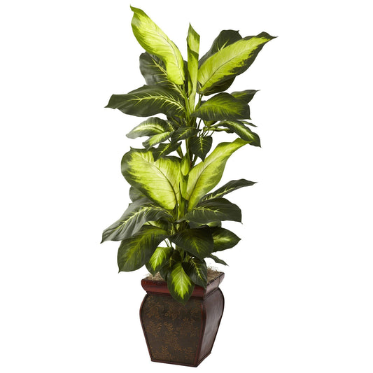 Golden Dieffenbachia w/Decorative Planter - Tampa Home & Garden Store