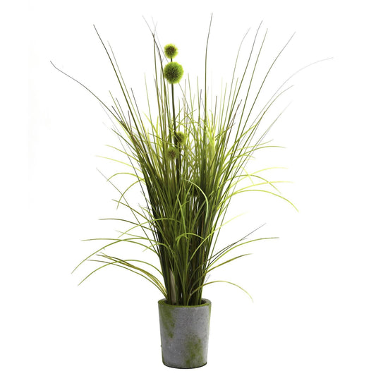 Grass & Dandelion w/Cement Planter - Tampa Home & Garden Store