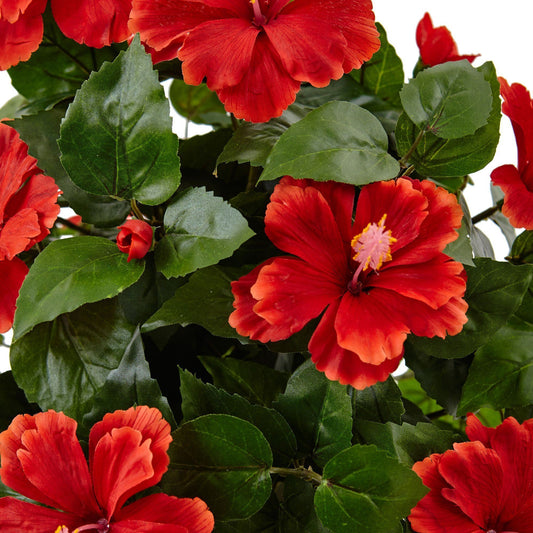 Hibiscus in Swirl Planter - Tampa Home & Garden Store